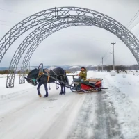 Конно-спортивный комплекс "Аргамак"