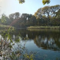 ГКУ ЛНР "ДИРЕКЦИЯ ООПТ "