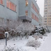 ГБДОУ детский сад № 97 Красногвардейского района