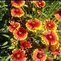 МБДОУДСКВ 48