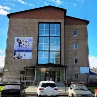 МБУ ДО г. Бузулука "Детская школа искусств"