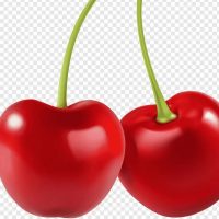 МДОБУ #10 "Вишенка" г. Арсеньев.