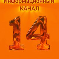 ГБДОУ детский сад 14🔥