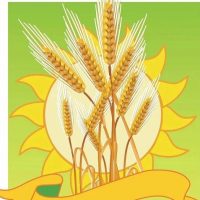 МКДОУ "Детский сад № 6 МО "Ахтубинский район" "Золотые зернышки"