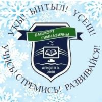 "Башкирская гимназия" ГО г. Агидель