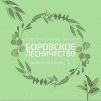 ГКУ КО "Боровское лесничество"