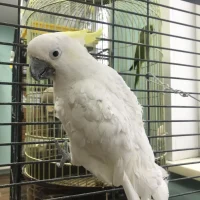 Станция юных натуралистов г. Бодайбо