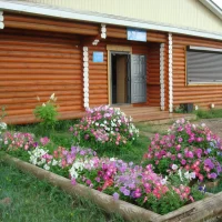 ОГБУ "Качугская СББЖ"