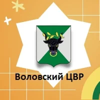 МКОУ ДО "Воловский ЦВР"
