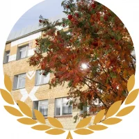 МБДОУ Детский сад № 118