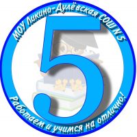 Ликино-Дулевская школа №5, Орехово-Зуевский городской округ