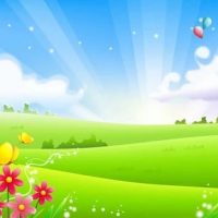 МДОБУ ЦРР ДС № 14 ЛМО