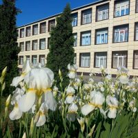 МБОУ СОШ 61 им. П. Е. Ладана