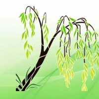 МДОУ № 92 "Ивушка"