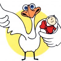 Весёлый аист / магазин / детская и подростковая одежда