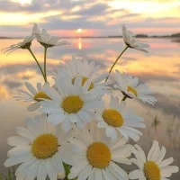 МБДОУ"Детский сад №2" пгт.Нижний Одес