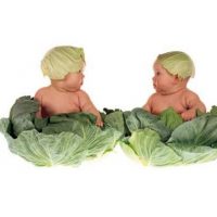 Канал МБДОУ № 4 "Насып"