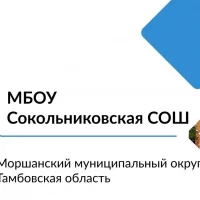 МБОУ Сокольниковская СОШ