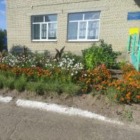 МБДОУ ДС № 4 г. Городище