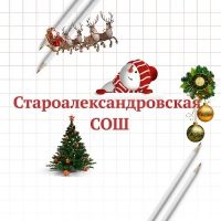 МАОУ "Староалександровская СОШ им.Калиева А.М."