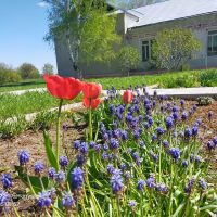 Реченская школа