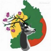 МОУ Билитуйская СОШ