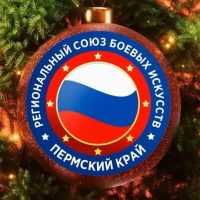 РСБИ Пермский край