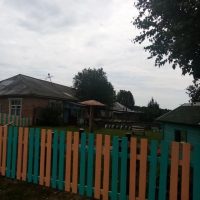 БОУ "Гриневическая НШДС"