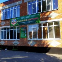 Канал МБДОУ № 5 "Аленький цветочек" г. Тихорецка