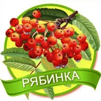 МАДОУ №16 "Рябинка"