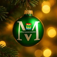 Мичуринский МО Тамбовской области