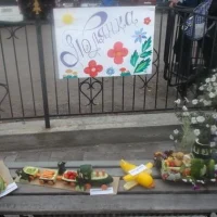 Муниципальное бюджетное дошкольное образовательное учреждение Детский сад "Полянка"