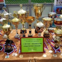 МБУ ДО "ДЮСШ" НИКОЛЬСКОГО РАЙОНА