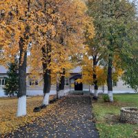 МБОУ ООШ с. Войсковая Казинка