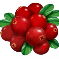 Детский сад №12 "Брусничка" г. Усть-Илимск