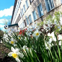 КОГОБУ ШИ ОВЗ г. Котельнича