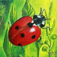 ГКУ "СРЦН "Заводоуспенский" Тугулымского района"