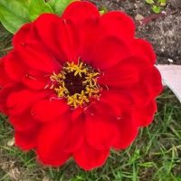 МАДОУ "Детский сад N14 г. Сосногорска"