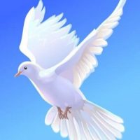 МБДОУ БУТАКОВСКИЙ ДЕТСКИЙ САД "ГОЛУБОК"