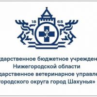 ГБУ НО "Госветуправление МО г.Шахунья"