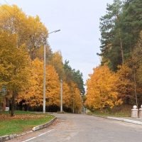 МБДОУ Жудерский детский сад Лесовичок