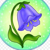 МБДОУ детский сад №13 "Колокольчик" Каменского района