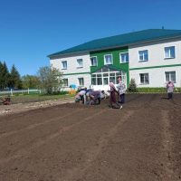 Новоузеевская ООШ