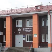 ГБУЗ АО Шенкурская ЦРБ им. Н.Н. Приорова