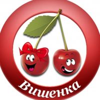 МДОУ № 83 "Вишенка" город Вологда
