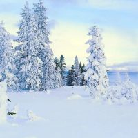 МКДОУ Шелаевский детский сад