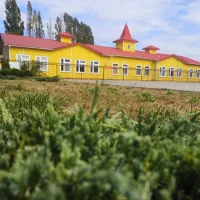 МБДОУ "Детский сад №5 "Теремок"