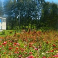 МБОУ "Бельковская СОШ" Почепского района Брянской области