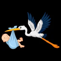 Государственное бюджетное учреждение здравоохранения "Луганский перинатальный центр" Луганский Народной Республики