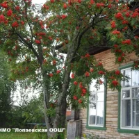 МКОУ НМО "Лопаевская ООШ"